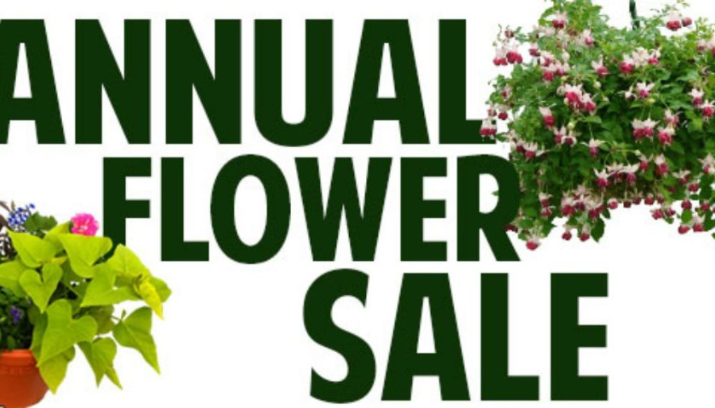 flower-sale web